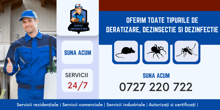 Servicii - contracte DDD Bucuresti - Dezinsectie, Dezinfectie, Deratizare