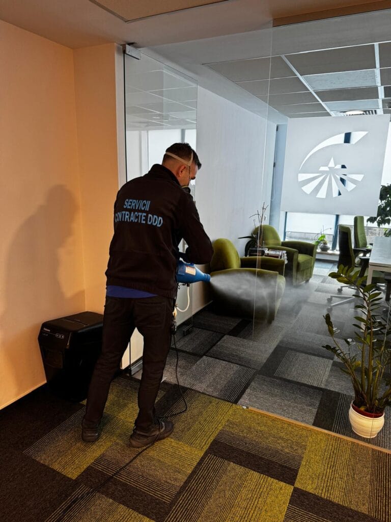 Servicii - contracte DDD Bucuresti - Dezinsectie, Dezinfectie, Deratizare