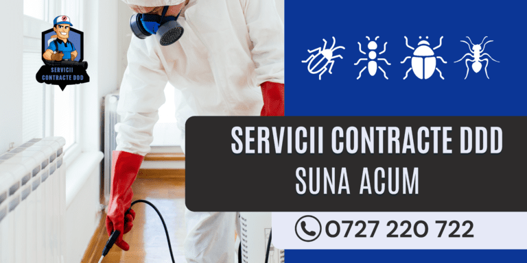 Servicii - contracte DDD Bucuresti - Dezinsectie, Dezinfectie, Deratizare
