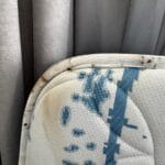 Dezinsectie Plosnite Bucuresti Servicii - contracte DDD Bucuresti - Dezinsectie, Dezinfectie, Deratizare