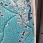 Dezinsectie Plosnite Bucuresti Servicii - contracte DDD Bucuresti - Dezinsectie, Dezinfectie, Deratizare