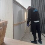 Dezinsectie Plosnite Bucuresti Servicii - contracte DDD Bucuresti - Dezinsectie, Dezinfectie, Deratizare