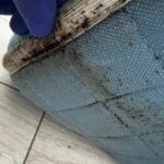 Dezinsectie Plosnite Bucuresti Servicii - contracte DDD Bucuresti - Dezinsectie, Dezinfectie, Deratizare