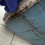 Dezinsectie Plosnite Bucuresti Servicii - contracte DDD Bucuresti - Dezinsectie, Dezinfectie, Deratizare