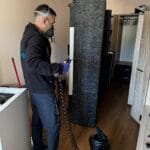 Cum scap de plosnite Bucuresti